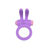 ANILLO VIBRADOR RINY C/ MANDO SILICONA LILA USB - 1 - notaboo.es
