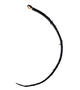 ZALO & UPKO Doll Designer Collection Leather Thorn Whip - notaboo.es