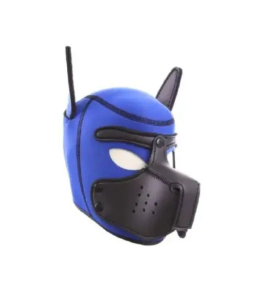 Mascara de Perro Azul/Negro - 1 - notaboo.es