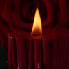 Candle low temperature UPKO Burning Thorn, red, 158 g - 3 - notaboo.es