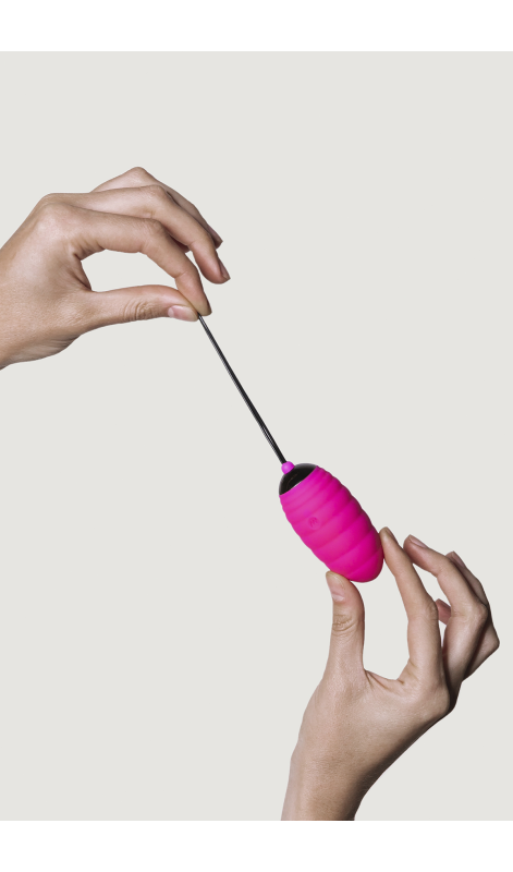 <p>Vibe Egg with remote control<br></p>