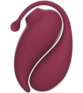 Kit de estimulación Inspiration Adrien Lastic huevo vaginal y estimulador de clítoris al vacío, burdeos - notaboo.es