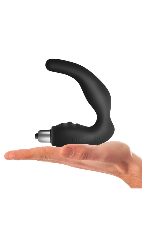 <p>Prostate massager with vibro bullet<br></p>