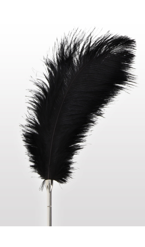 <p>Feather Tickler<br></p>