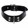 Collar with Taboom locking device black - 1 - notaboo.es