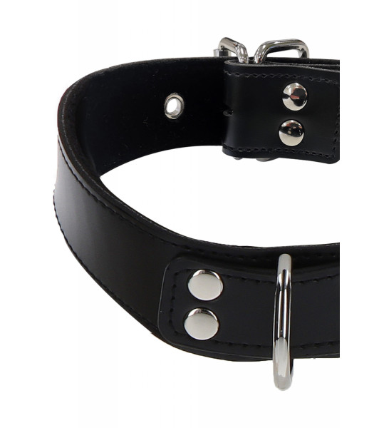 Collar with Taboom locking device black - 3 - notaboo.es