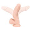 Realistic dildo with Orion scrotum on suction cup, beige, 24 x 4.4 cm - 3 - notaboo.es