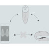 Womanizer & We-Vibe Golden Moments Colección - 9 - notaboo.es