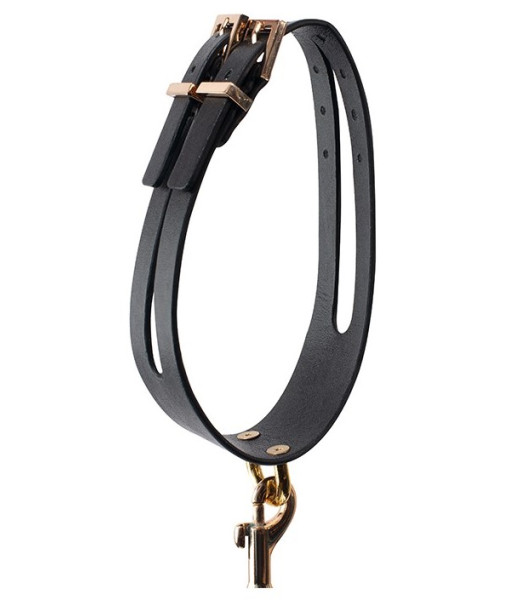 CONJUNTO DE CORREA DE CUELLO GP PREMIUM NEGRO - 3 - notaboo.es
