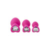 KIT DE ENTRENAMIENTO ANAL GEM STONE PINK - 3 - notaboo.es