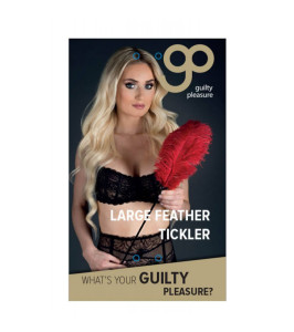 GP LARGE FEATHER TICKLER RED - notaboo.es
