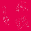 Вибропуля Tango X by We-Vibe, розовая - 8 - notaboo.es