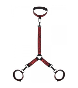 Fifty Shades of Grey Sweet Anticipation Collar and Wrist Cuffs Fifty Shades of Grey Sweet Anticipation Collar and Wrist Cuffs - notaboo.es