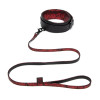 Cincuenta sombras de Grey Sweet Anticipation Collar y correa - 7 - notaboo.es