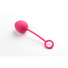 Вагинальные шарики со смещенным центром тяжести Nova Ball Plum Red - Svakom - 5 - notaboo.es